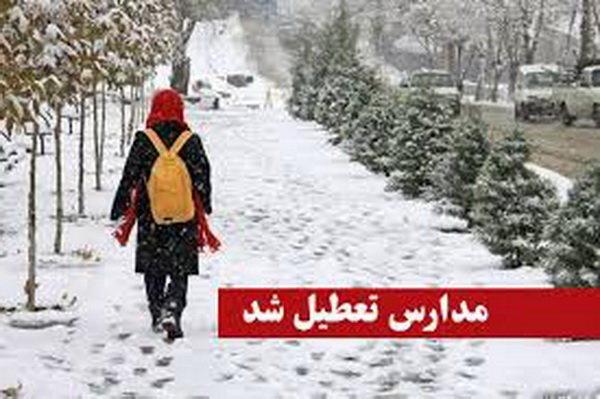 برف، مدارس زنجان را تعطیل کرد برف، مدارس زنجان را تعطیل کرد
