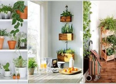 چند نکته طلایی برای نگهداری از گل و گیاه در آپارتمان؛ایده هایی ساده برای ایجاد فضای سبز در خانه