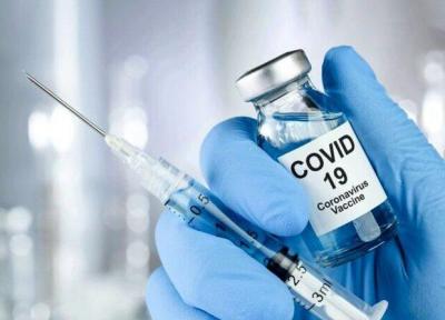 آخرین شرایط تحقیقات روی 3 نوع واکسن کرونا در کشور