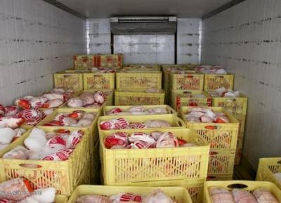 عرضه روزانه 1200 تن مرغ گرم در تهران، گرانی مرغ به مسائل سیستم توزیع باز می شود