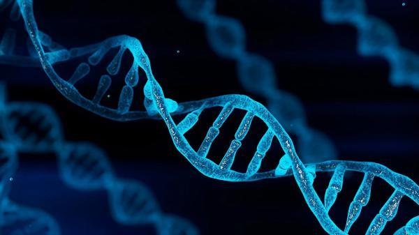 کشف روش تازه دستکاری DNA برای ذخیره طولانی داده