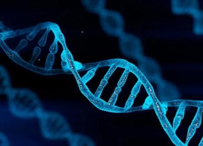 کشف روش تازه دستکاری DNA برای ذخیره طولانی داده