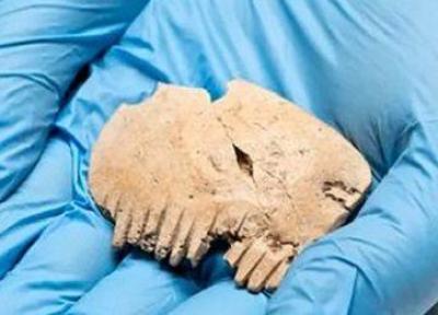 شانه ساخته شده از جمجمه انسان موجب حیرت باستان شناسان شد