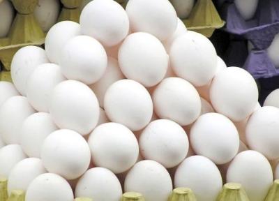 چرا تخم مرغ ایرانی در کشور های همسایه ارزانترند؟