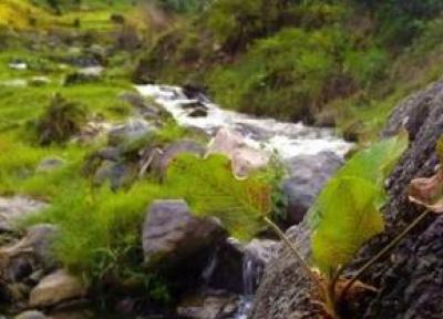 سفر به گنج پنهان چالوس ؛ نگهبان دشت شما را در آغوش می گیرد ، بیژن الهی هم در این بهشت آرمیده است